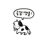 [이플캘리] 귀여운 짤 모음 | 손그림, 명언, 스티커