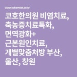 코호한의원 비염치료, 축농증치료특화, 면역광화+ 근본원인치료, 개별맞춤처방 부산, 울산, 창원 | 웹 브라우저, 마케팅