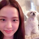 달곰아아 🐶 em 2020 | Cantores, Jennie