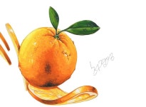 frutas에 있는 Art santos님의 핀 - 2020 | 질감, 오렌지, 과일