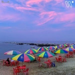 해변포차🏖 시원한 바닷바람 솔솔 맞으며 먹는 회쏘라니.. @@올... 🚗공용주차장에 무료주차 가능 📅7월 중순~8월 중순 중 오픈 #동해... 