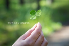 좋은글에 있는 핀