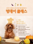 멍데이클래스 모집 Event - mom&daddy | 프로모션
