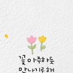 만나기로해🌷 #꽃 #만나자 #봄 #캘리그라피 노아캘리 on Instagram... 만나기로해🌷 #꽃 #만나자 #봄 #캘리그라피 | 꽃, 손글씨 문구... 