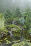 These plants make this space feel wild and natural. This kind of ga… | 정원 가꾸기, 조경, 연못