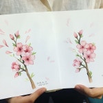 #벚꽃 #벚꽃수채화 #전주수채화 #수채화일러스트 #감성수채화 #전주 #완주#전북혁신도시 #성인미술#전주성인미술 #전주취미미술#수채화수업#꽃그림... 