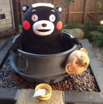 미니 민 — Kumamon | 쿠마몬, 그래픽, 귀