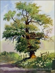 trees의 최고 인기 이미지 86개 | Paisajes, 수채화 및 조경 그림 trees