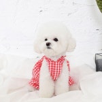 Pin on 00.Pet Wear/ Pet Fashion  의류/액세서리