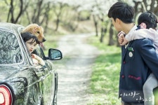 낙원♡나무... 그리고 혼자 신난 럭키 (멍!)_1 | 나무
