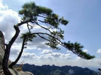 산수화에 있는 Hyesook Park님의 핀 | 자연 사진, 풍경 사진, 풍경화