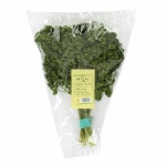 파슬리 - 이마트몰