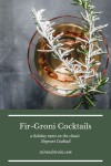 Fir-Groni | Holiday twists, Drink garnishing, Fun cocktails