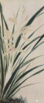 Pin on 사군자