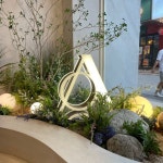 Pin by 신지 김 on 플랜테리어