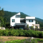 우리 집에 생기와 활력을, 정원 만들기 팁 12 | 호미파이 & homify