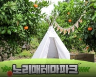 제주노리매테마파크 #티켓할인 ,제주가볼만한곳 티켓특가 ,제주여행,봄여행 제주노리매테마파크 #티켓할인 ,제주가볼만한곳 티켓특가... 