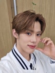 카이리 (KAIRI) 🌱피크민 리그🌱