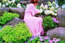 “제가 가본 수국축제 중 최고였어요!”… 나무수국도 보고... 나무수국도 보고 물놀이도 즐길 수 있는 국내 여행지 3곳 in 2024 | Seogwipo... 