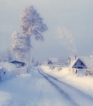 Winter에 관한 27개의 최상의 Pinterest 이미지 | Winter wonderland, Paisajes 및 겨울 Winter