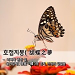 호접지몽胡蝶之夢 - 나비에 관한 꿈, 物我一體물아일체의 경지, 인생의 덧없음 호접지몽胡蝶之夢 - 나비에 관한 꿈, 物我一體물아일체의 경지... 