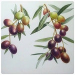 복숭아&복숭아 유리나방#Peach #한국식물화가협회#서울여대플로라아카데미#강사전#수채색연필#Watercolorpencil