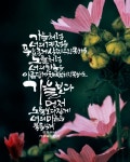 감사합니다에 있는 Kyonghui Chon- Marella님의 핀 - 2023 | 수채화 인쇄, 시, 수채화