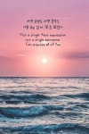 korea에 관한 83개의 최상의 Pinterest 이미지 | 한국어, 일본어 및 Frases korea