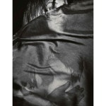 Monica Bellucci by Rankin  #monica_bellucci #monicabellucci ...