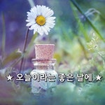 ★오늘이라는 좋은 날에 ★ 청명한 아침에 유리창에 얼굴을 대고 울었던... 수  있다는 것이 넘칠 듯이  감사해서 울음이 쏟아졌다.   매일 같은 날…