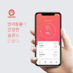 펫 체중 관리 앱 홈 UI 디자인