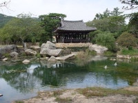 Bogildo-세연정-1 | 한국 정원, 정원, 식물