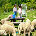 Watch the Best YouTube Videos Online - #휘바핀란드 #소통 #맞팔 #선팔 #ootd #daily #패션 #맛집 #여행 #travel #해병대 #롯데월드몰 #에버랜드... 