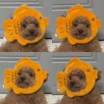 나니 설기 옹심 (@nani_seolgi_ongsim) • Instagram photos and videos