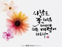 #캘리그라피 #calligraphy #캘리 #손글씨 #물댄동산 #멋글씨 #봄 #인생 #봄날 #삶 #생활 #명언 #꽃 #계절 #청춘 #시절 #배경-pinterest