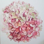 끝까지 집중해서 완성해야지!! . #수채화 #watercolor #painting #artwork #arches … | Flower art, Flower painting, Hydrangea artwork