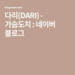 다리(DARI) - 가슴도치 : 네이버 블로그 - 2020 | 블로그, 여행, 음악