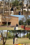 Gangwon-do Forestry Museum (강원도 산림박물관) in 2021 | South korea, Travel, Nami island