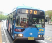 Bus에 있는 8478 K님의 핀
