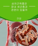 섬유근육통은 장내 세균총과 관련이 있을까 - 건강을 위한 발걸음