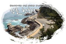 강원도 강릉 헌화로