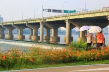 서울 Seoul