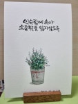 캘리그라피 문구 디자인에 있는 신 헤영님의 핀 | 수채화 엽서, 수채화 카드, 손글씨