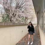 #예쁘다 #벚꽃 #❤️ #서울컨벤션고등학교 #01 #19