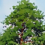 Pin page Pin auf 창의미술 in 2024