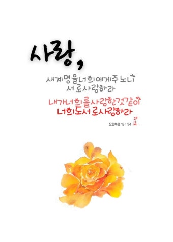 말씀엽서,말씀카드,손그림엽서,좋은말씀,짧은말씀,예쁜말씀,성경말씀,요한복음말씀 | 성경, 성경 구절, 성경 공부