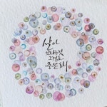 손글씨에 있는 성영주님의 핀 - 2023 | 손글씨