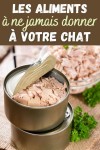 Les aliments à ne jamais donner à votre chat | Nourriture chat, Plat a cuisiner, Alimentation