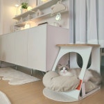 흐린날씨엔 도뚠이로 힐링해야지✨️ #고양이 #냥스타그램 #도뚠이일상 #랙돌 #랙돌고양이 #쌍둥이 #고양이하우스 #하밋 #벽난로인테리어... 