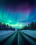 씨유넥스트먼스(See you next month) | Next month I will head out for Lapland with my familyHope I will see the green lady dance again.. shot from last winter | 여행
